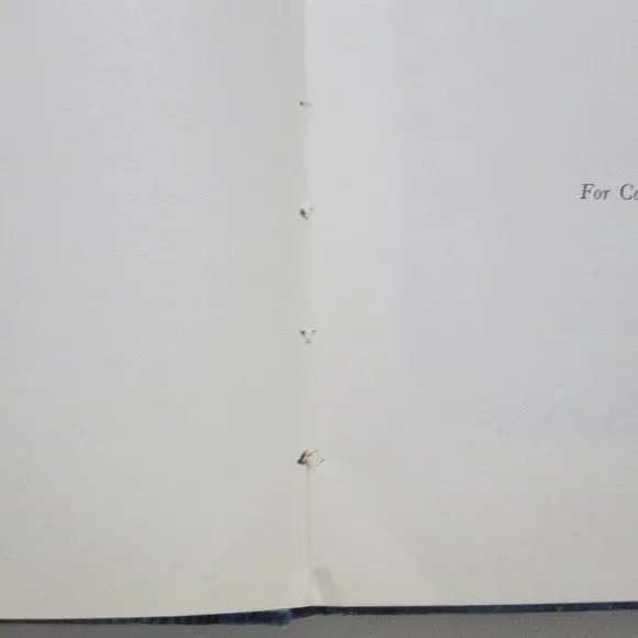 Wandjina Children of Dreamtime Hardcover Book Roland Robinson 1st Ed 1968